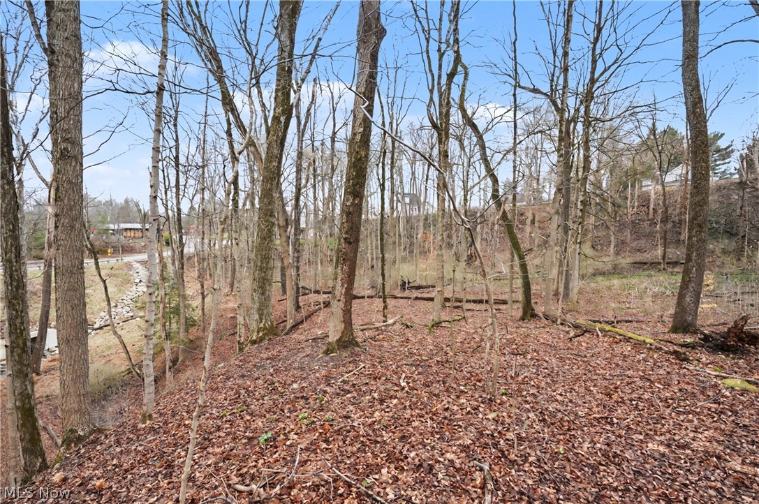 6196 Riverview Road Peninsula OH 44264