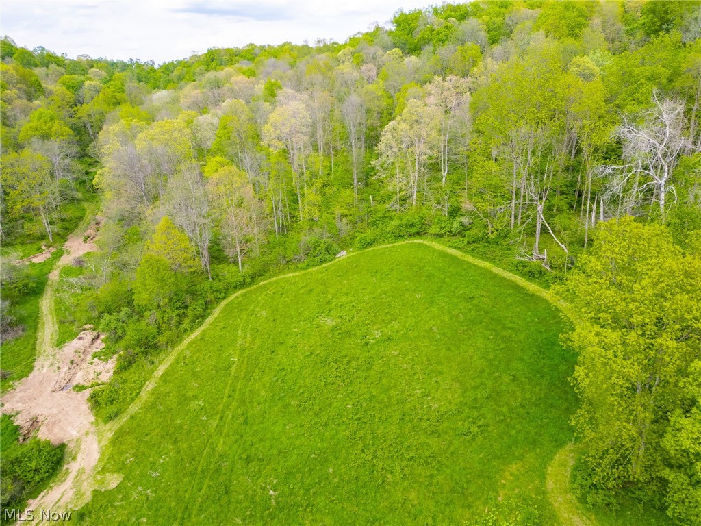 69800 Skull Fork Road Freeport OH 43973
