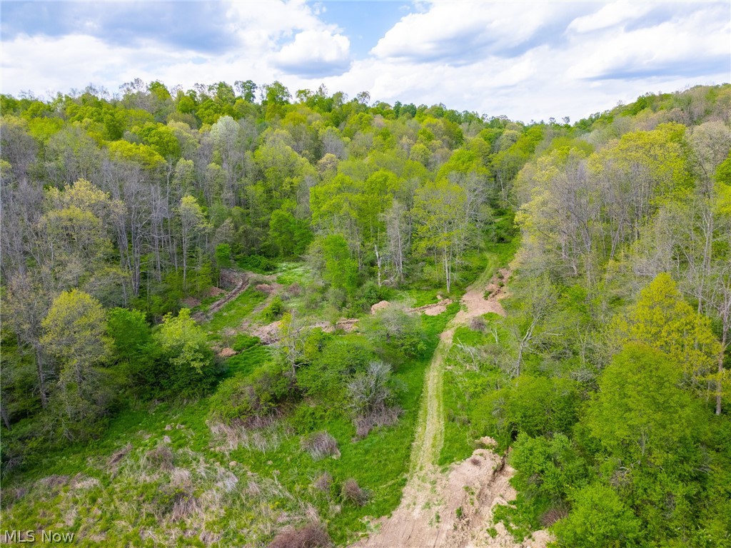 69800 Skull Fork Road Freeport OH 43973