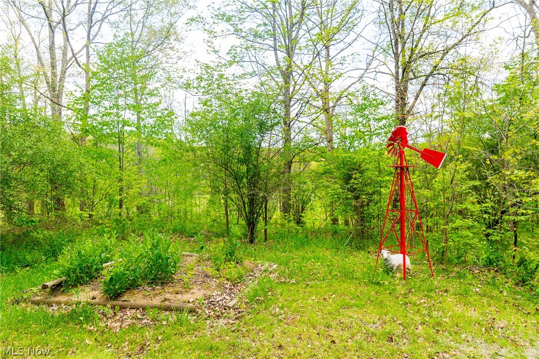 69800 Skull Fork Road Freeport OH 43973