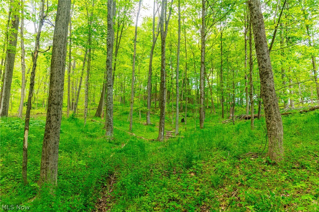 69800 Skull Fork Road Freeport OH 43973