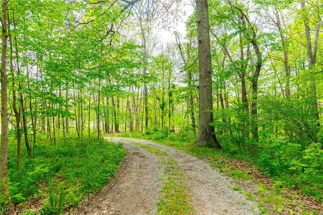 69800 Skull Fork Road Freeport OH 43973