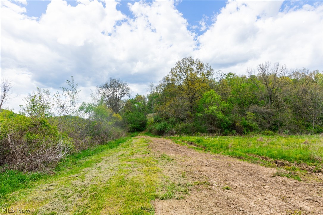 69800 Skull Fork Road Freeport OH 43973