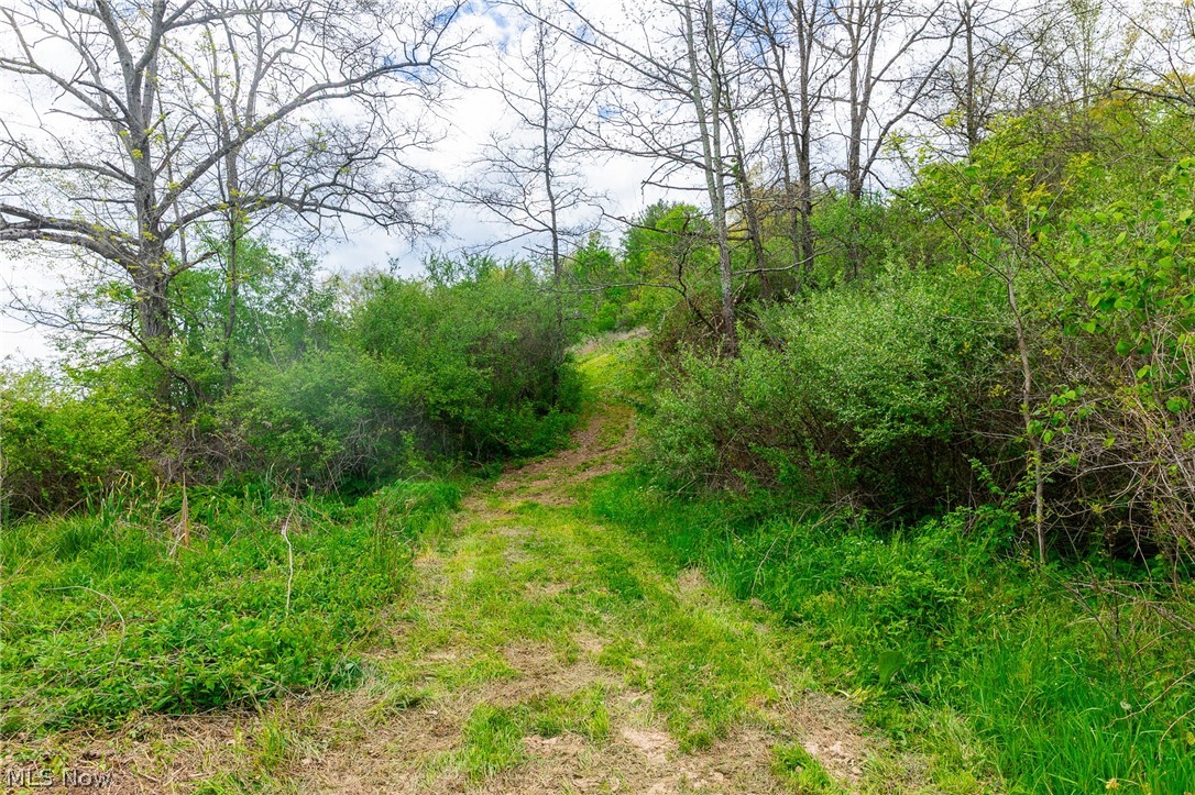 69800 Skull Fork Road Freeport OH 43973