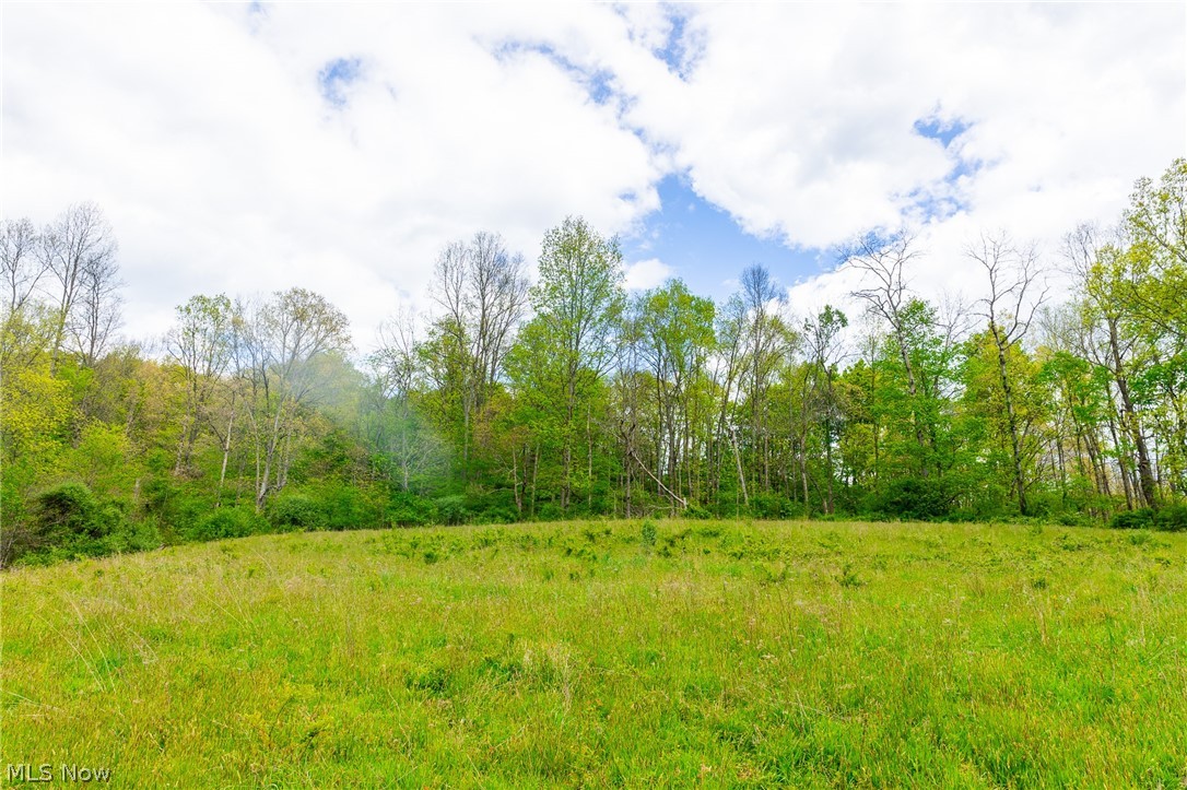 69800 Skull Fork Road Freeport OH 43973