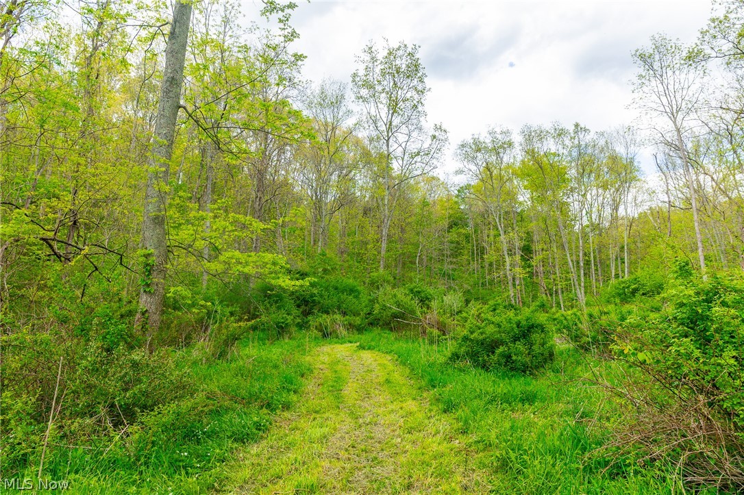 69800 Skull Fork Road Freeport OH 43973