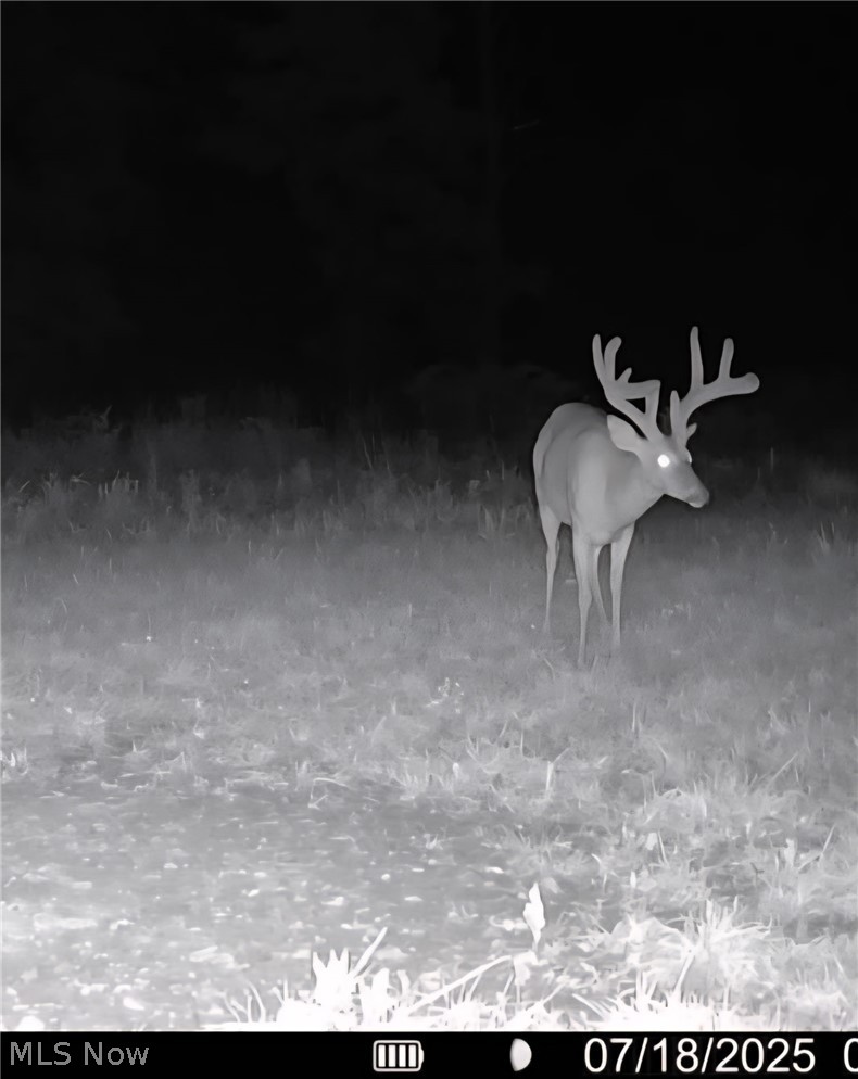 69800 Skull Fork Road Freeport OH 43973
