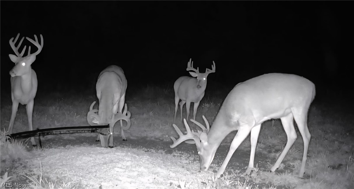 69800 Skull Fork Road Freeport OH 43973