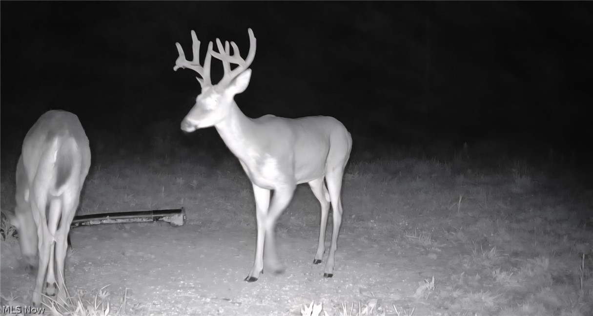 69800 Skull Fork Road Freeport OH 43973
