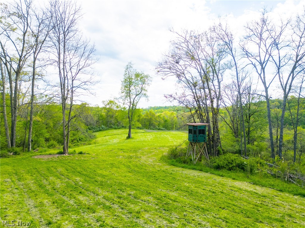 69800 Skull Fork Road Freeport OH 43973