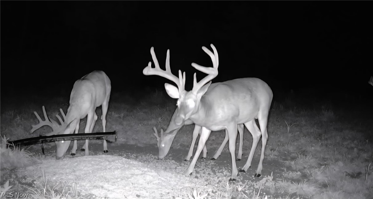 69800 Skull Fork Road Freeport OH 43973