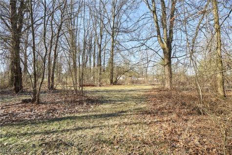 V/l 20 Ac Ridgewood Road Fairlawn OH 44333
