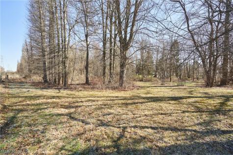 V/l 20 Ac Ridgewood Road Fairlawn OH 44333