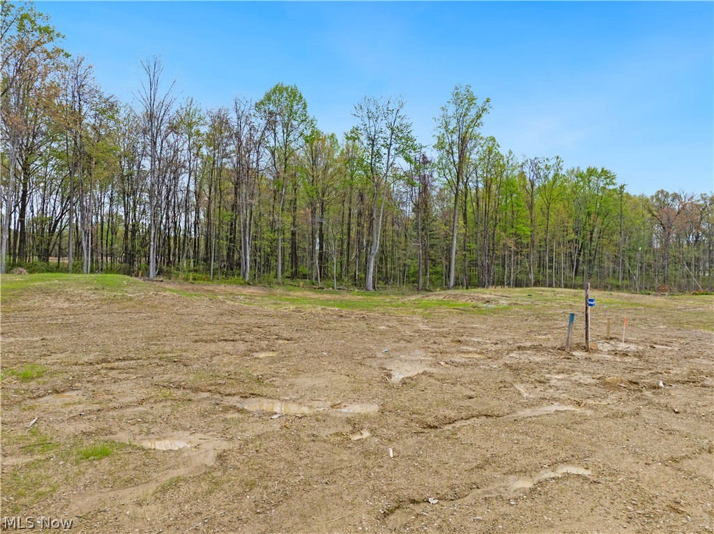 9527 River Birch Run Brecksville OH 44141