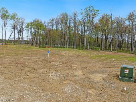 9527 River Birch Run Brecksville OH 44141