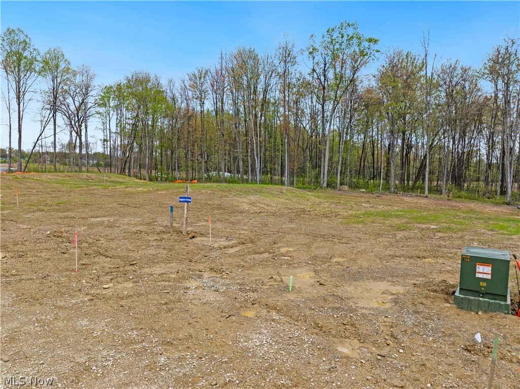 9527 River Birch Run Brecksville OH 44141