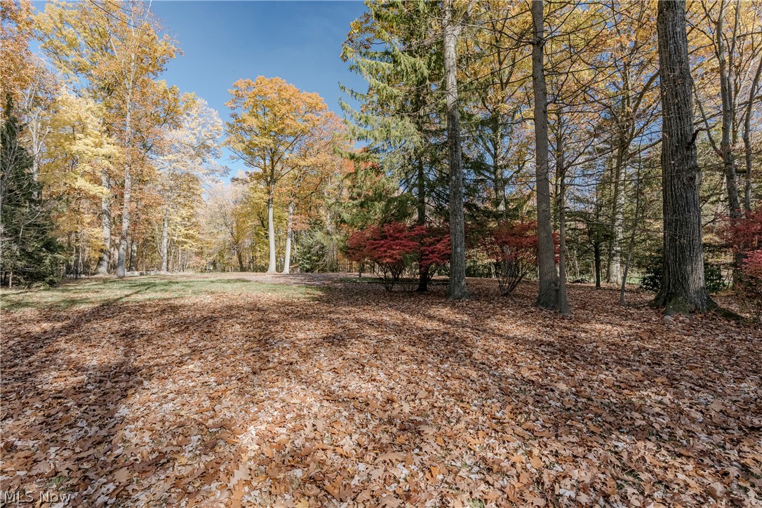 65 Sterncrest Drive Moreland Hills OH 44022