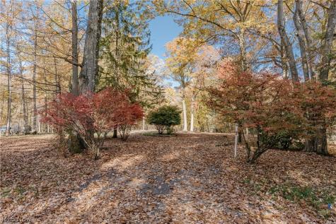 65 Sterncrest Drive Moreland Hills OH 44022