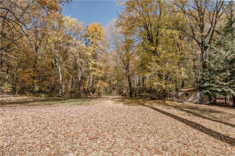 65 Sterncrest Drive Moreland Hills OH 44022
