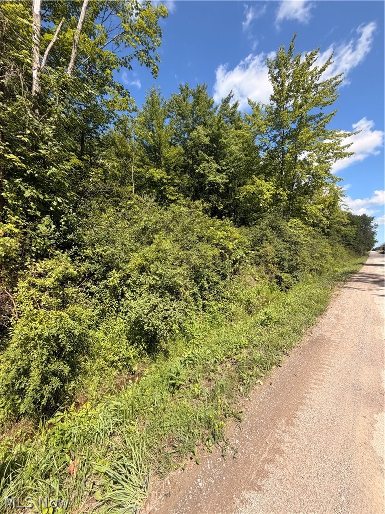 Forman Road Rock Creek OH 44084