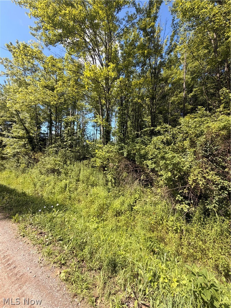 Forman Road Rock Creek OH 44084