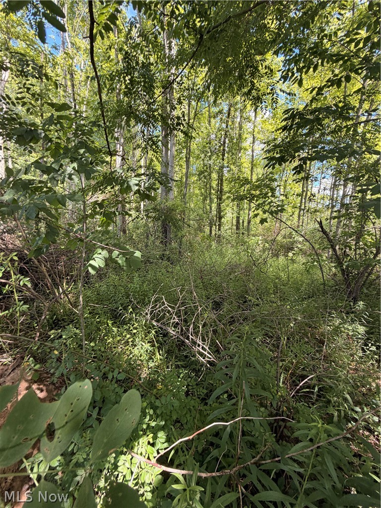 Forman Road Rock Creek OH 44084