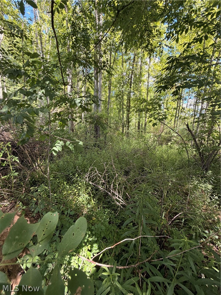Forman Road Rock Creek OH 44084