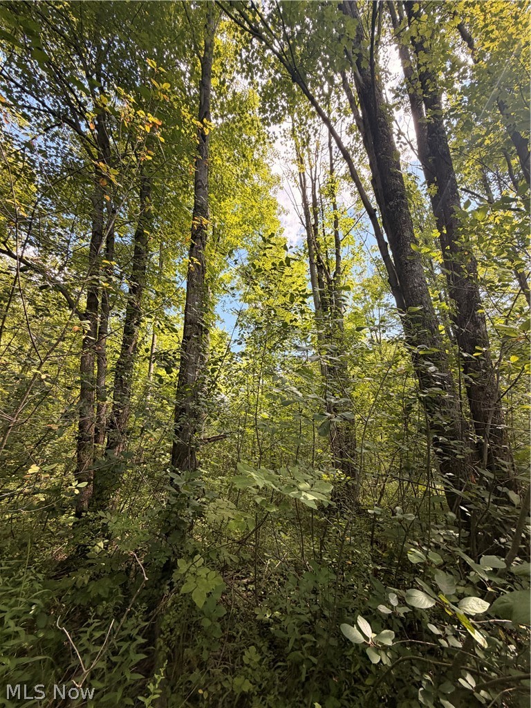 Forman Road Rock Creek OH 44084
