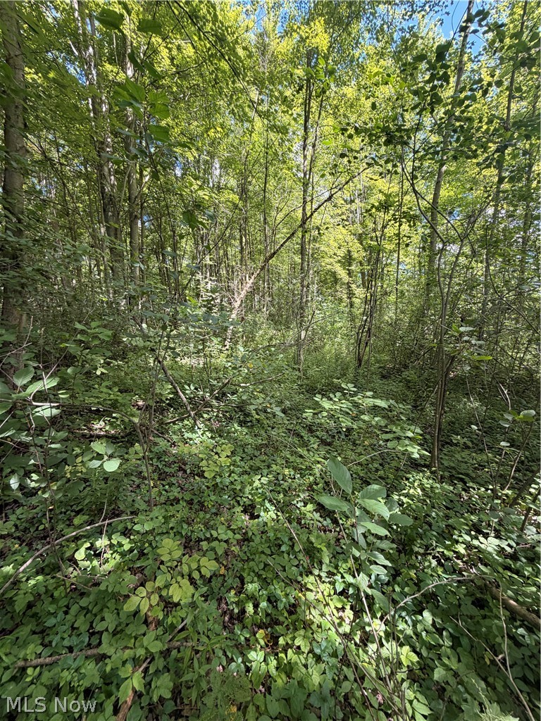 Forman Road Rock Creek OH 44084