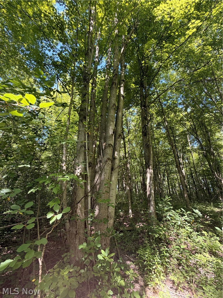 Forman Road Rock Creek OH 44084