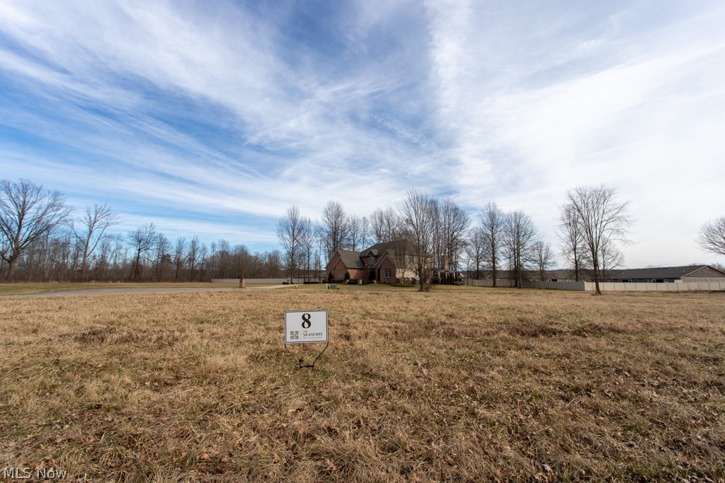 Black Duck Court Cortland OH 44410