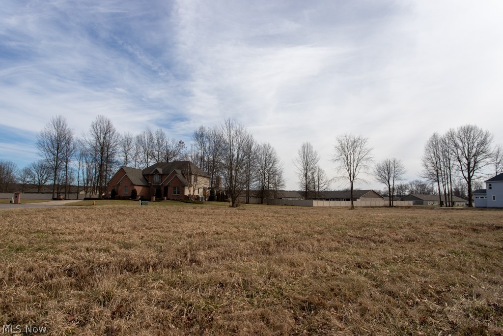 Black Duck Court Cortland OH 44410