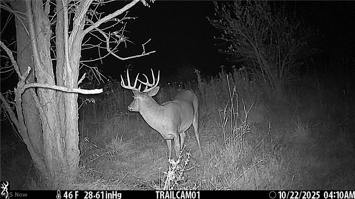 17418 118 Coshocton OH 43812