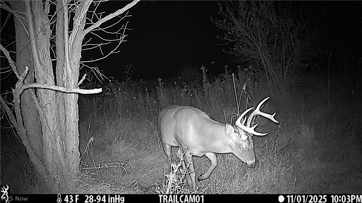 17418 118 Coshocton OH 43812