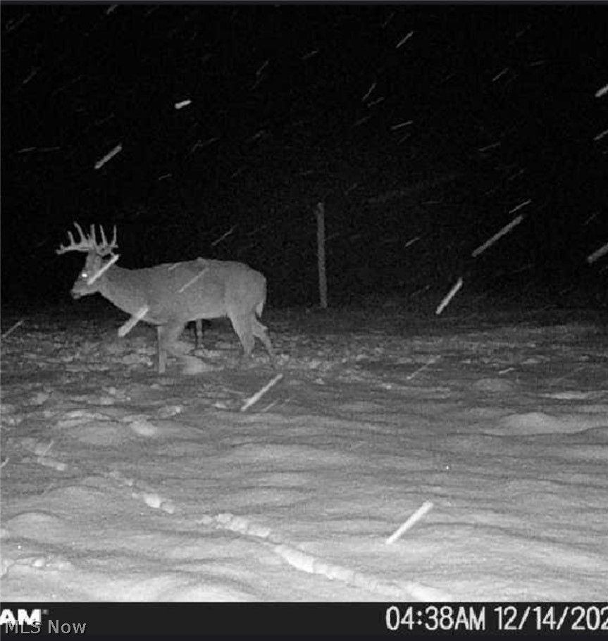 17418 118 Coshocton OH 43812
