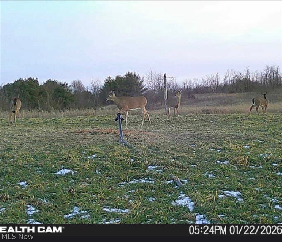 17418 118 Coshocton OH 43812
