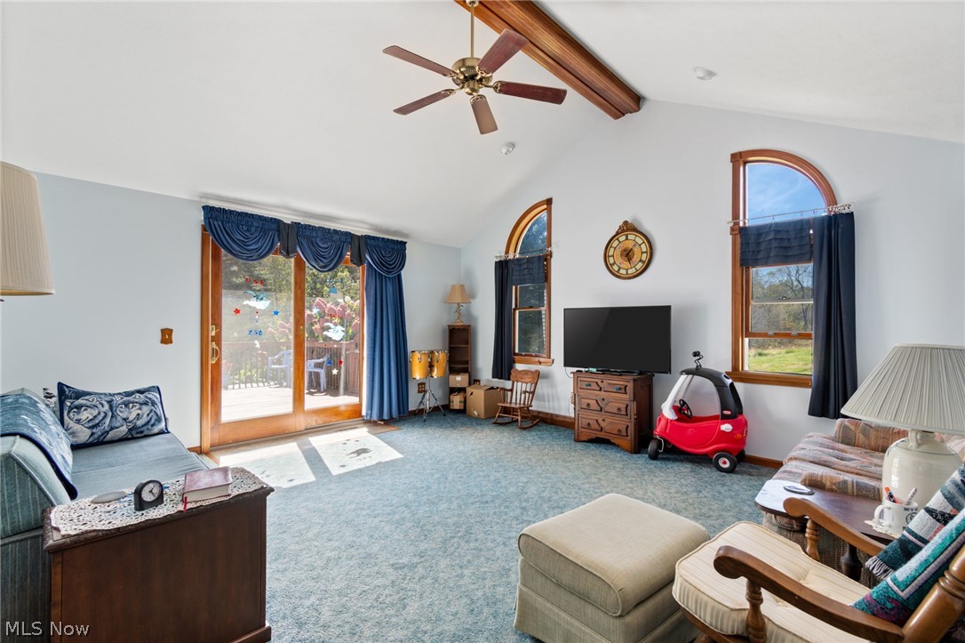 6031 Raindrop Road SE Amsterdam OH 43903
