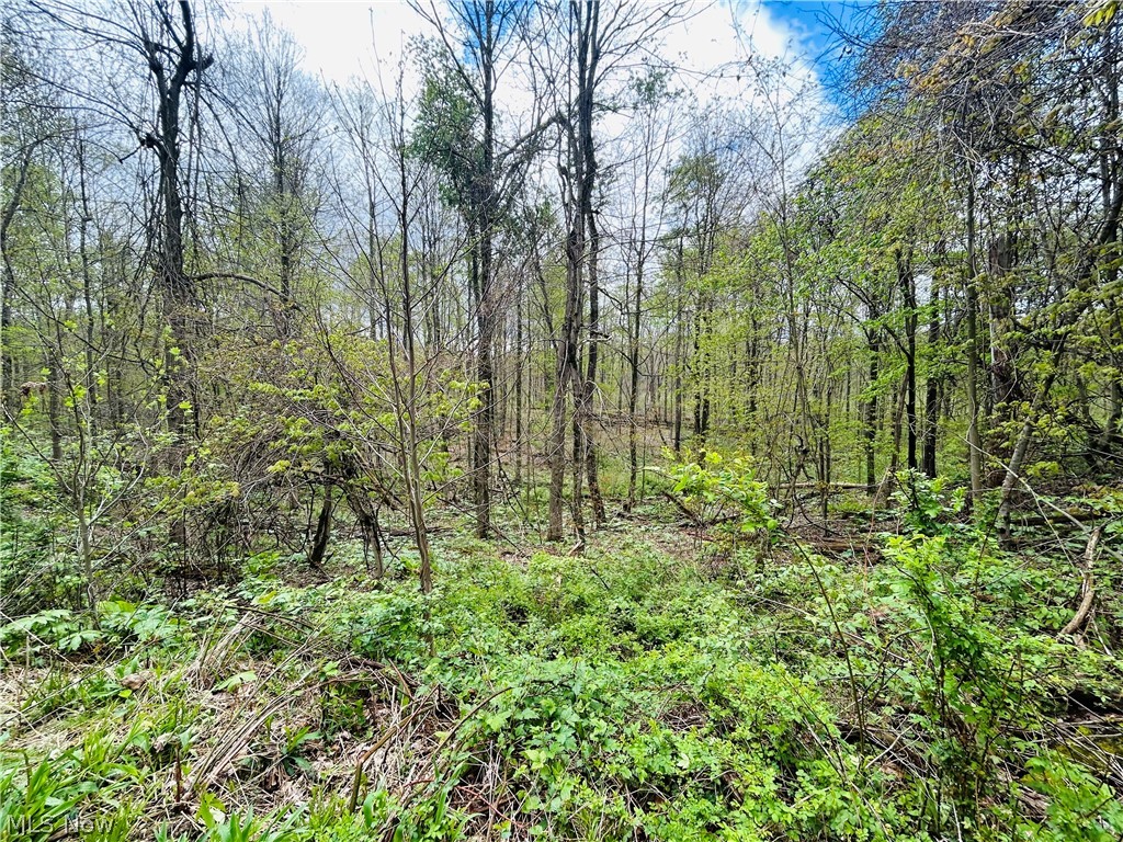 Auburn Road Newbury OH 44065