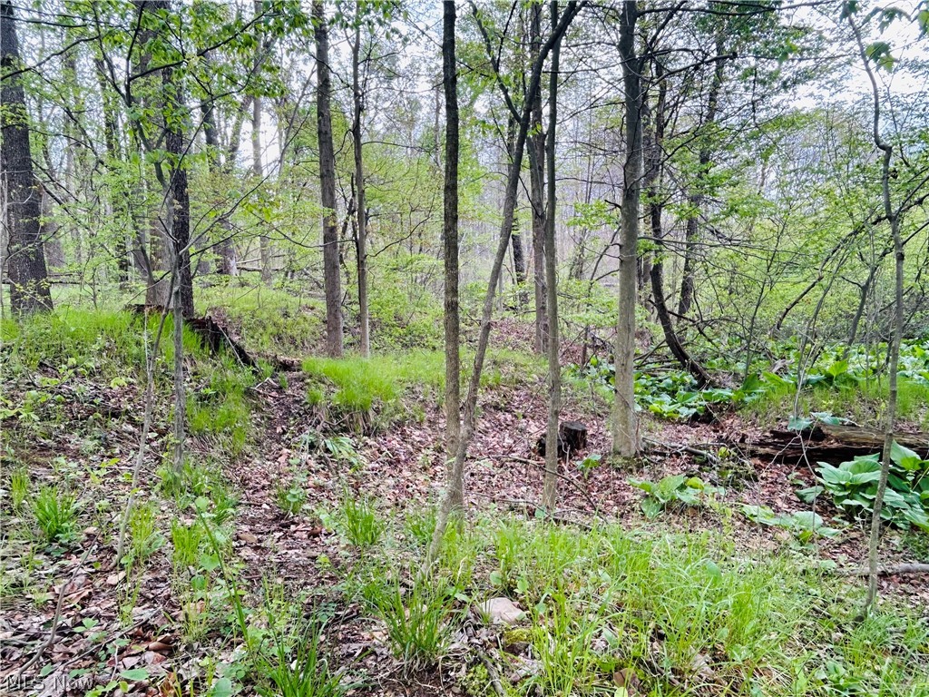 Auburn Road Newbury OH 44065