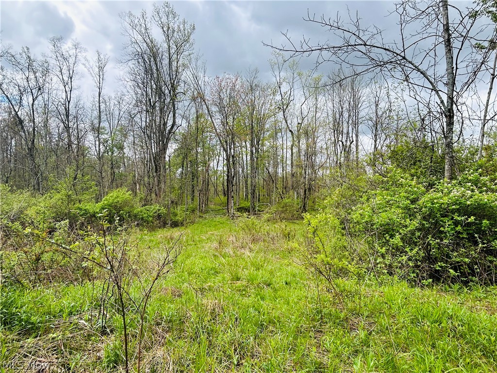 Auburn Road Newbury OH 44065