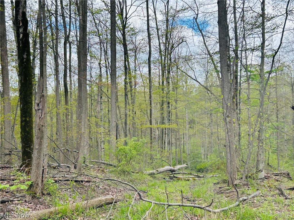 Auburn Road Newbury OH 44065