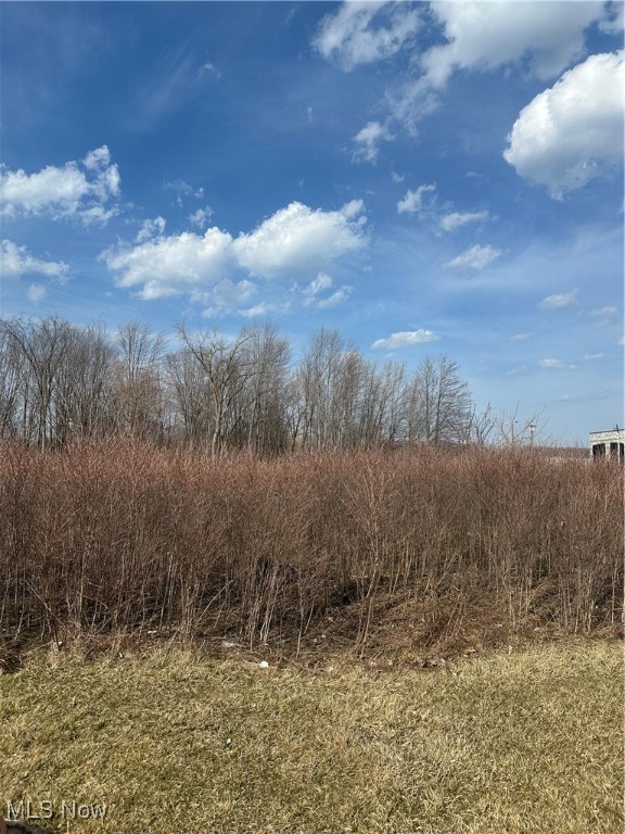 Lost Nation Road Willoughby OH 44094