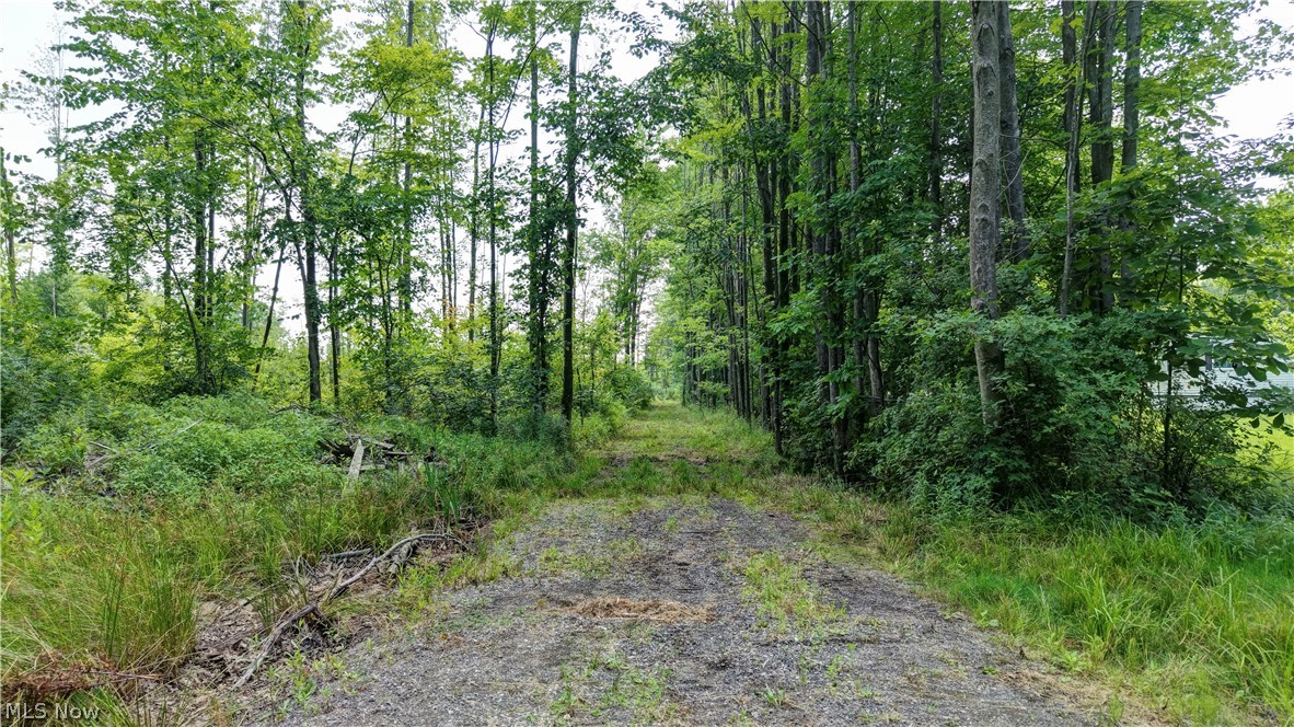 0 Bushnell Campbell Kinsman OH 44428