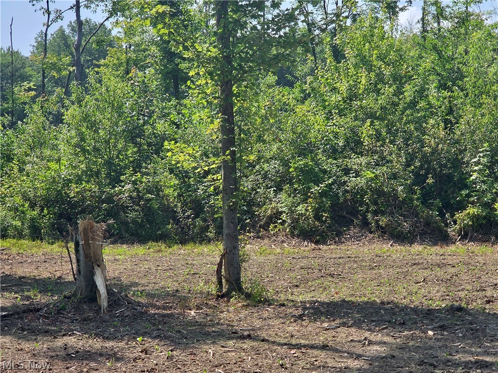 0 Bushnell Campbell Kinsman OH 44428