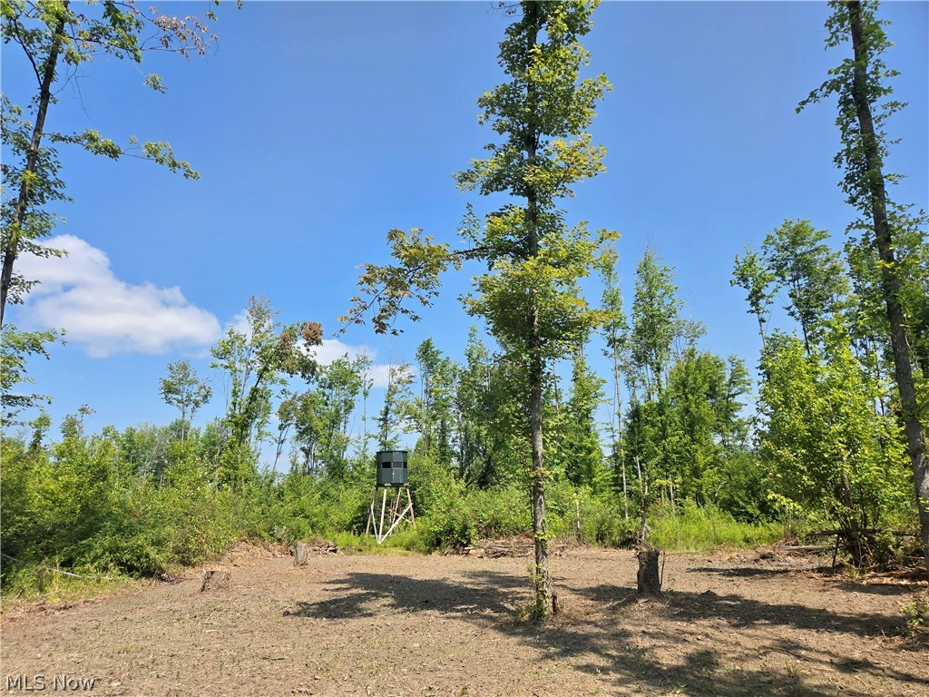 0 Bushnell Campbell Kinsman OH 44428