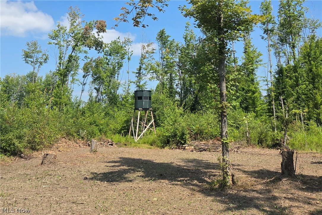 0 Bushnell Campbell Kinsman OH 44428