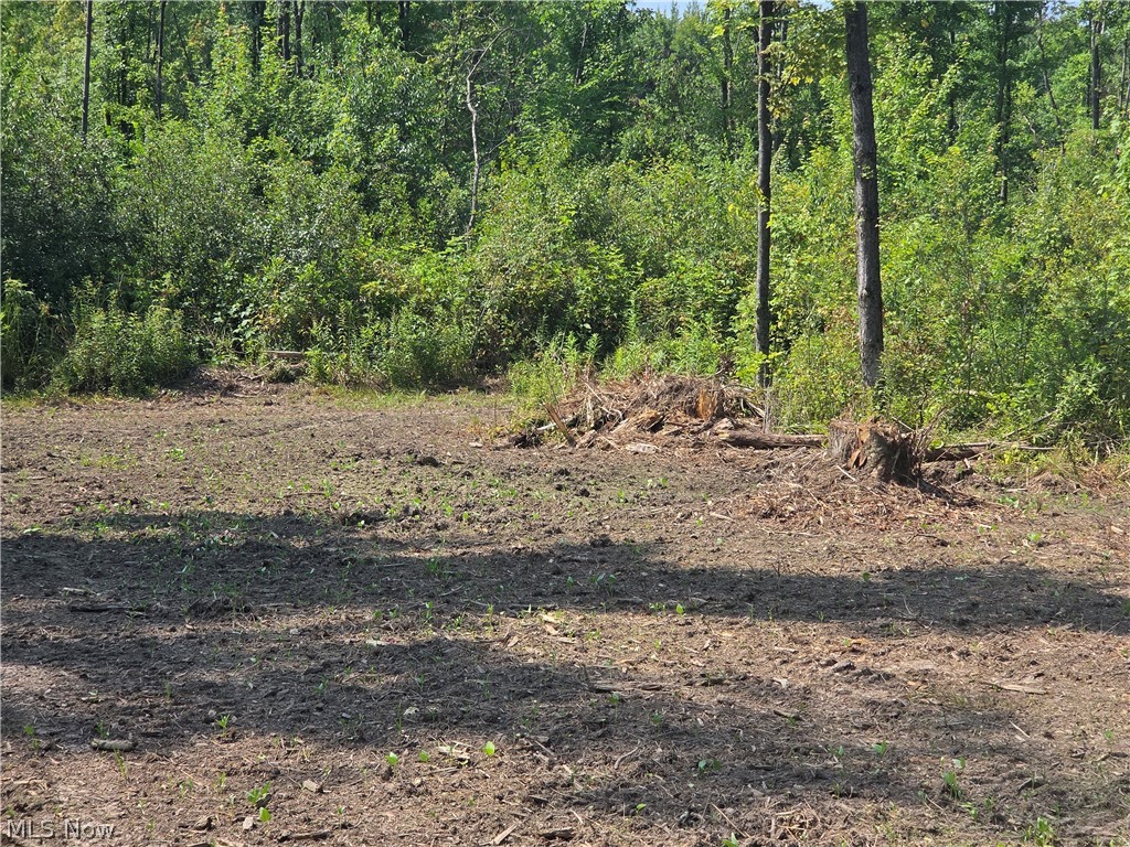 0 Bushnell Campbell Kinsman OH 44428