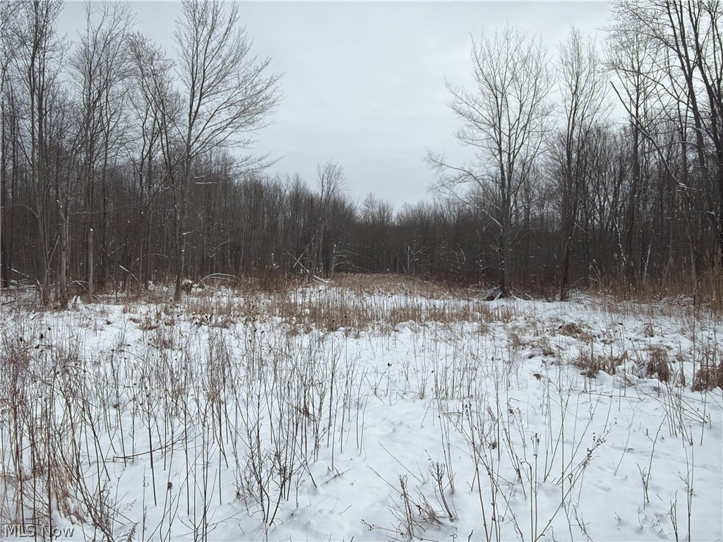 Munson Hill Road Ashtabula OH 44004