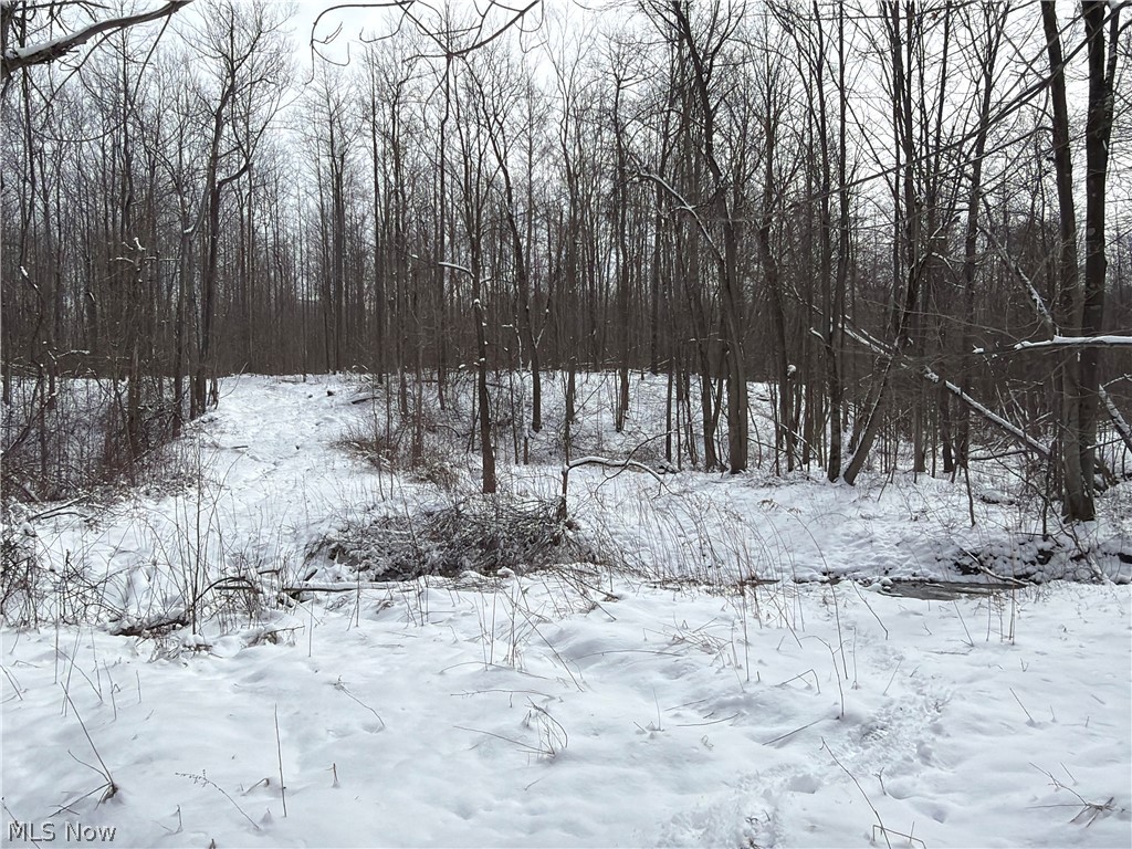 Munson Hill Road Ashtabula OH 44004