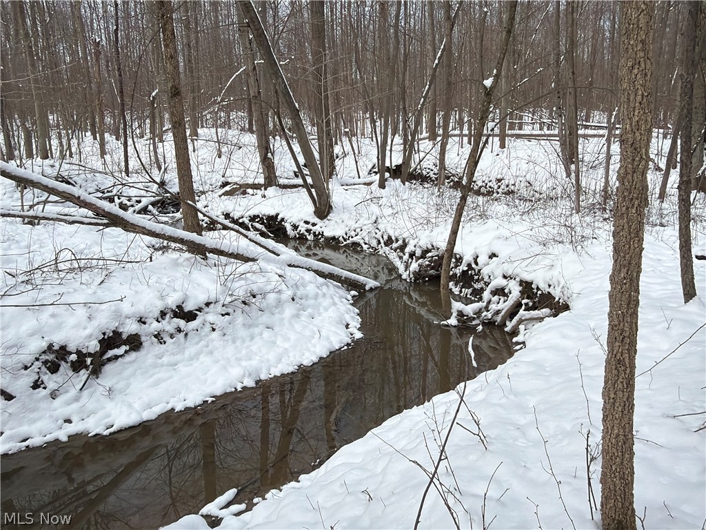 Munson Hill Road Ashtabula OH 44004